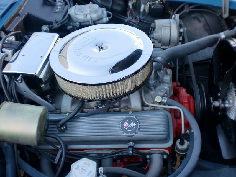 MARTINSRANCH 68 Corvette (1) 